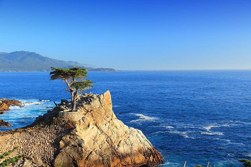 The Lone Cypress - Pebble Beach near Monterey