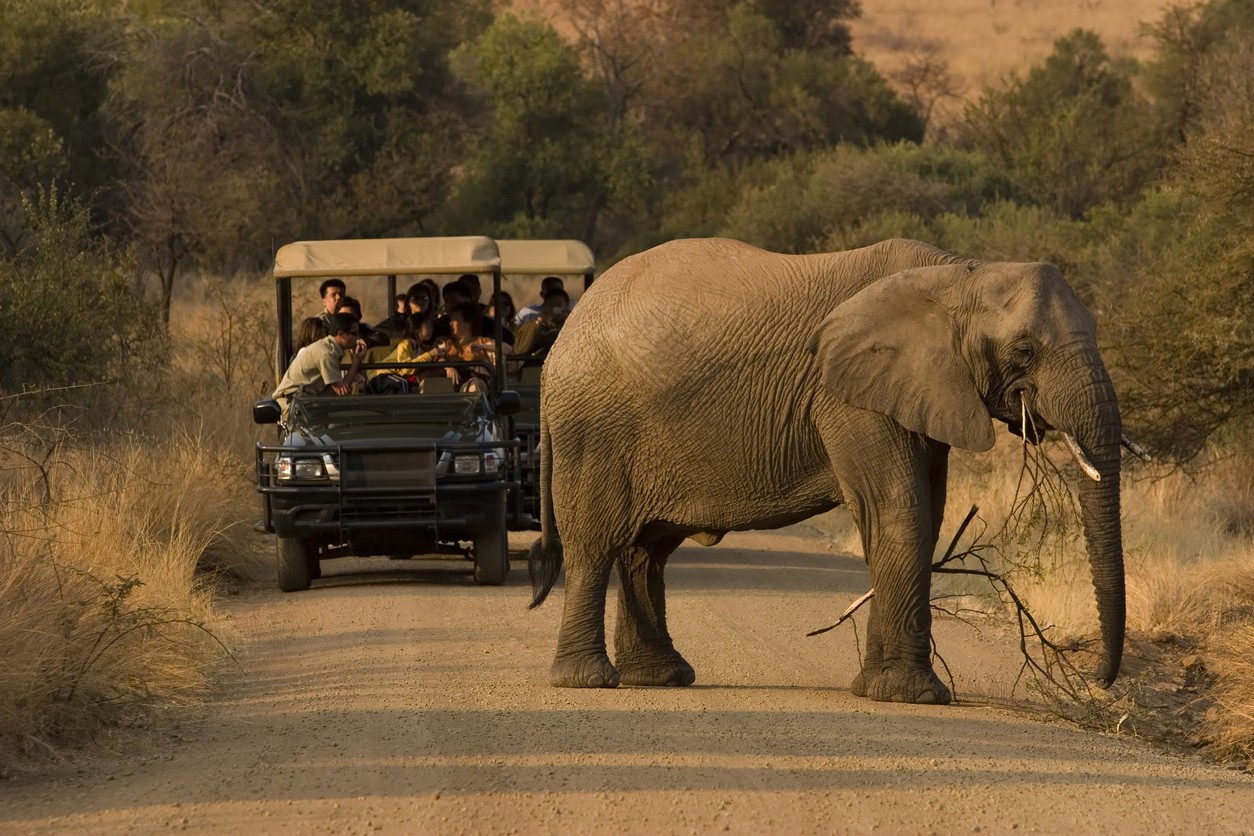 Safari in Africa