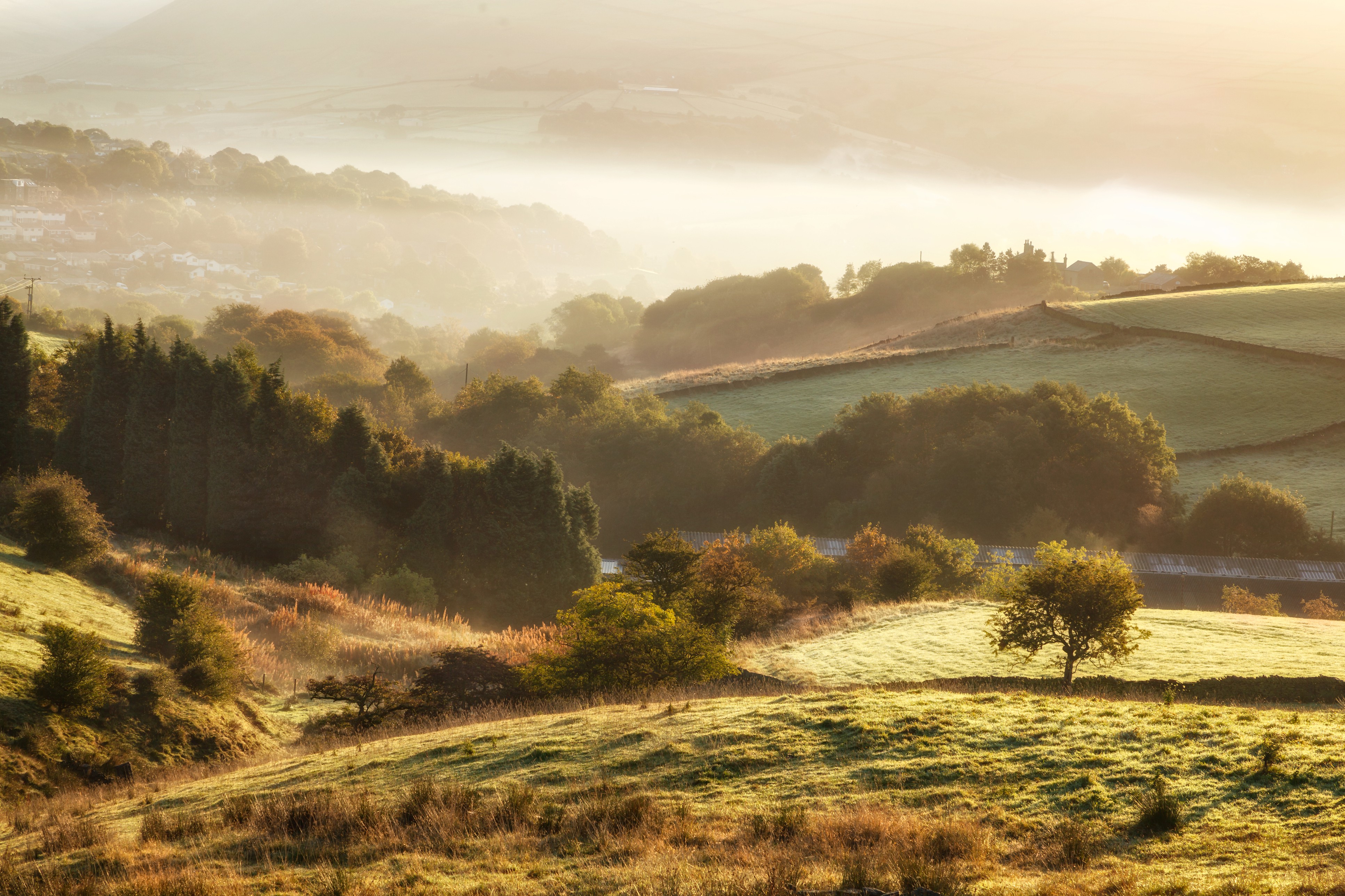 Natural beauty of the English countryside