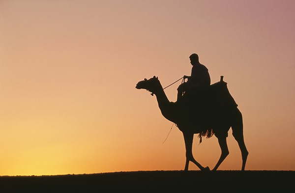 Sunset Camel Ride in Egypt