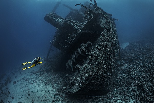 Diving in the Red Sea