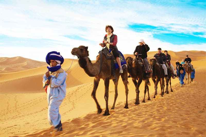 Gate 1 Travel - Camel ride on escorted tour