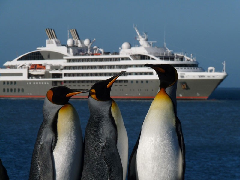 Ponant Explorer Class ships in Antarctica