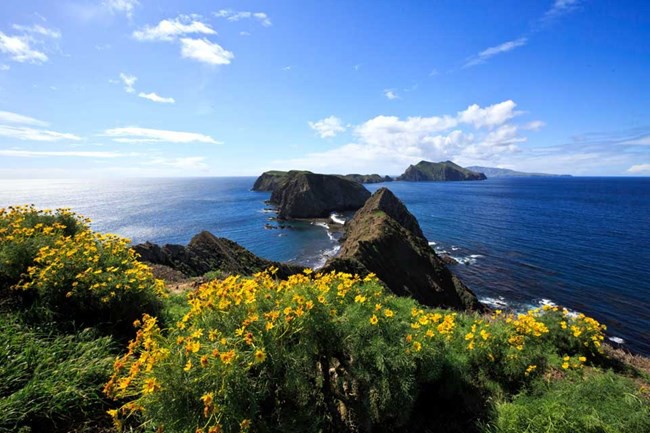 Channel Islands National Park