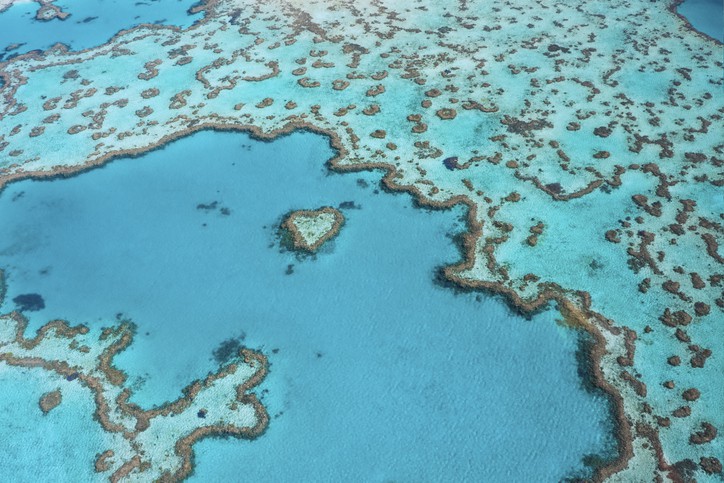 Great barrier reef australia