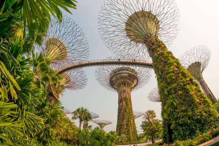 Gardens by the bay singapore Croisieurope