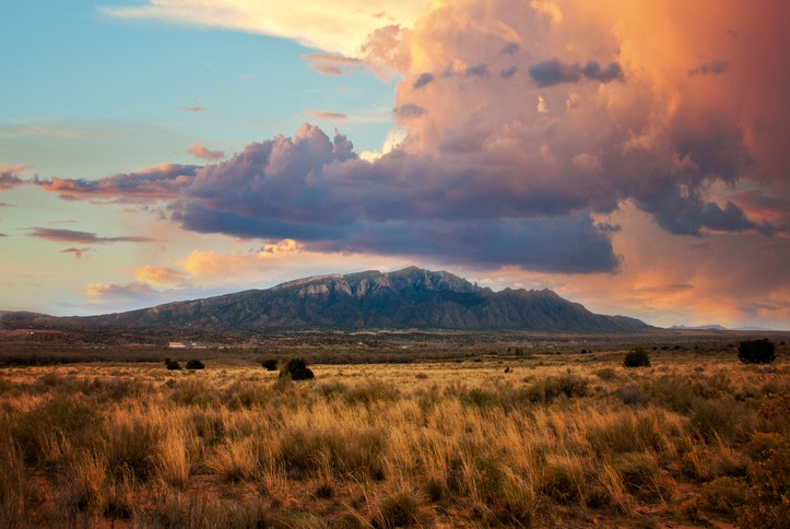 new mexico nature