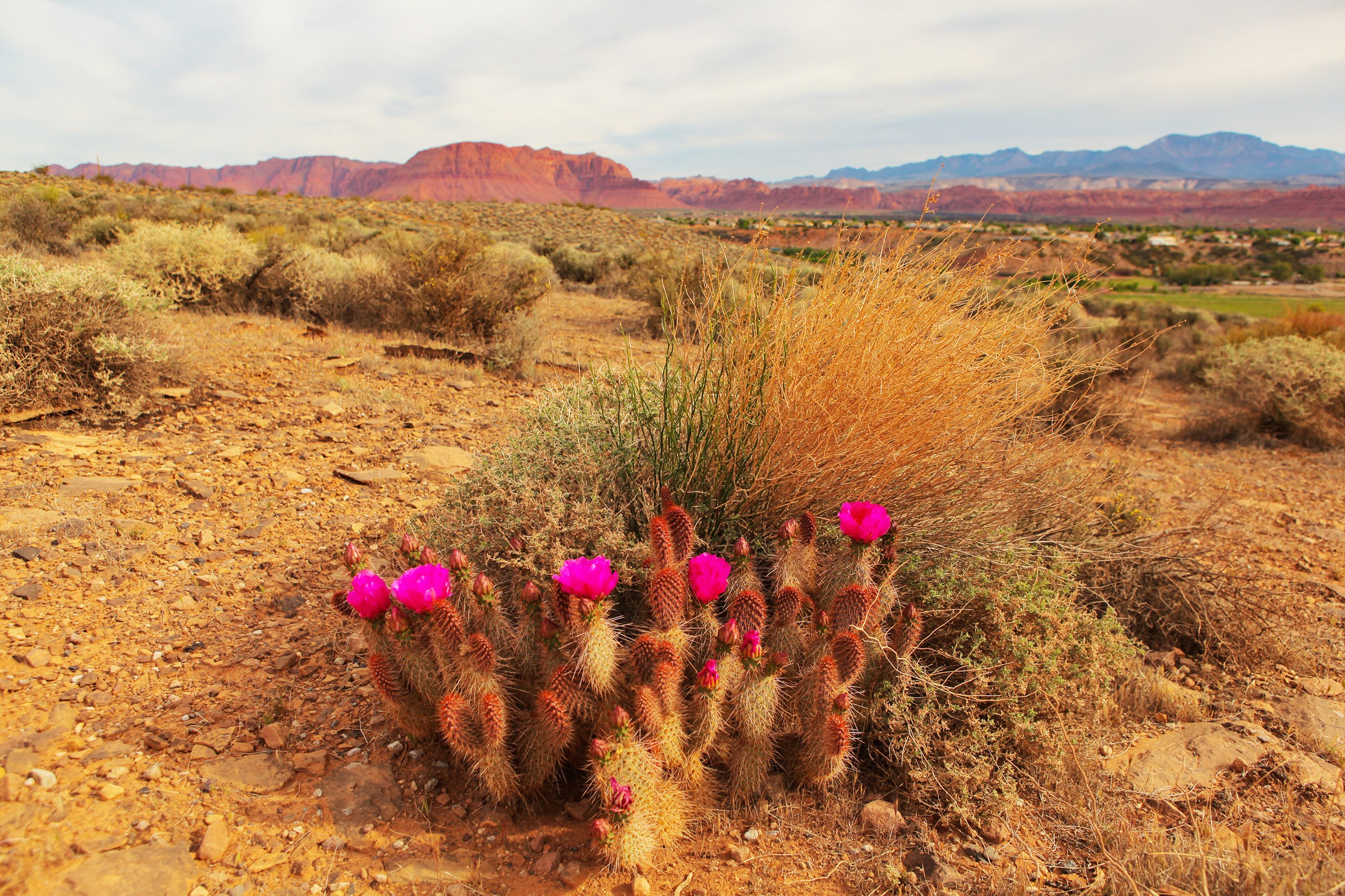 Death Valley National Park