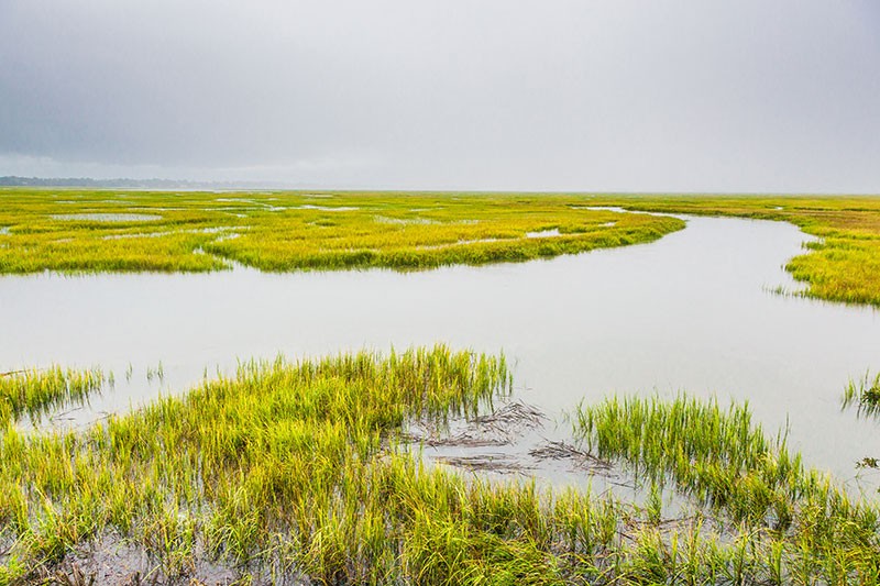 Tidal salt creeks in Little Tybee Island