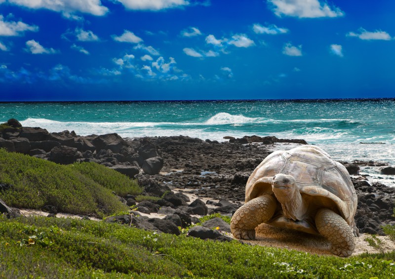 Galapagos island adventure