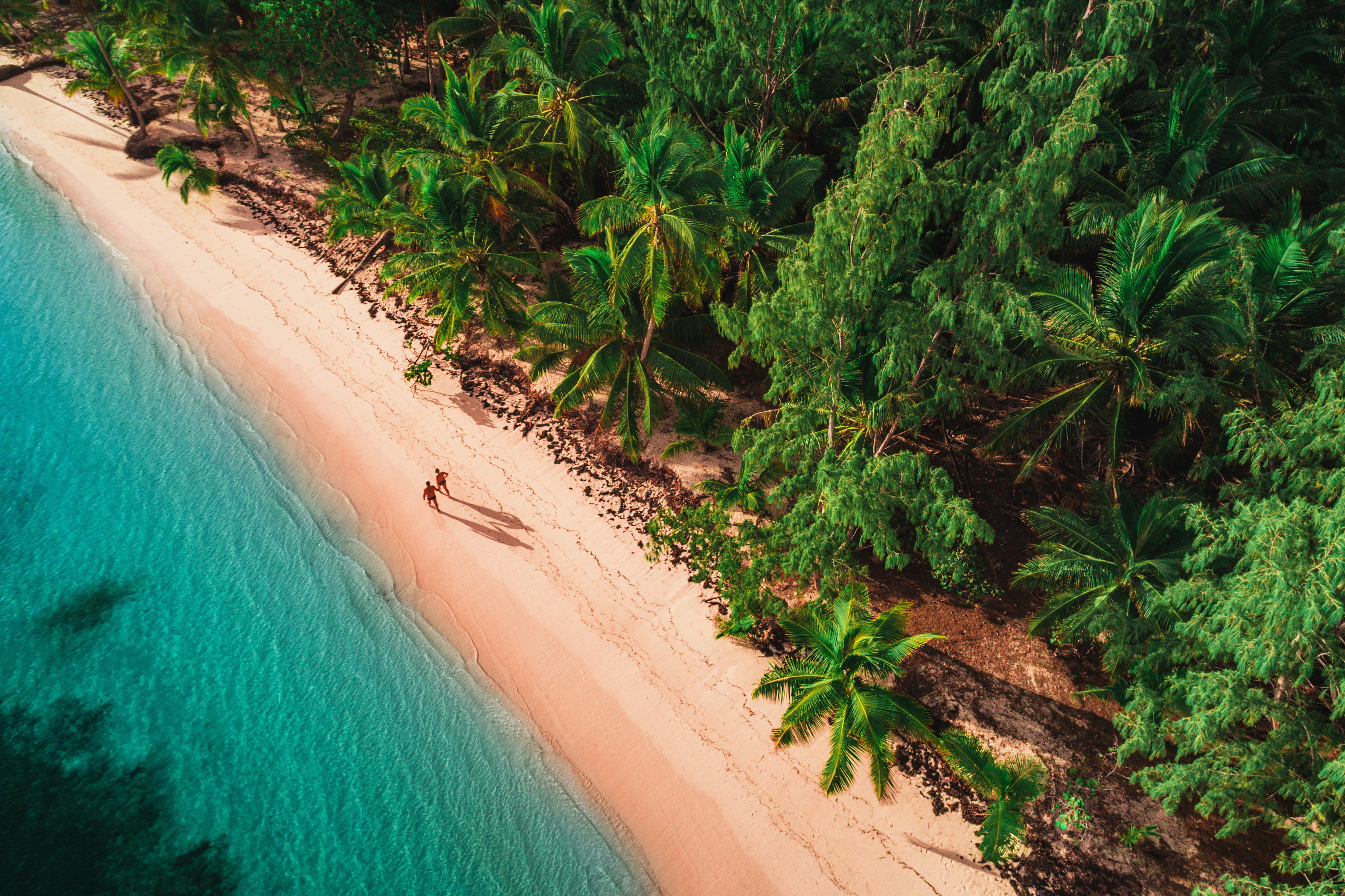 picturesque beach in dominican republic